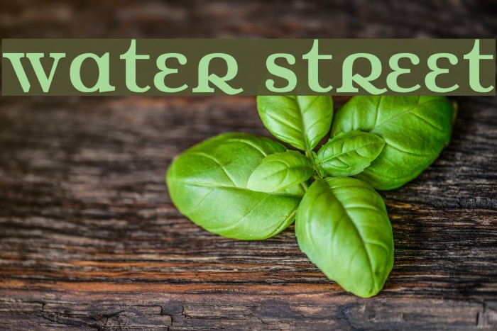 Water Street Font examples