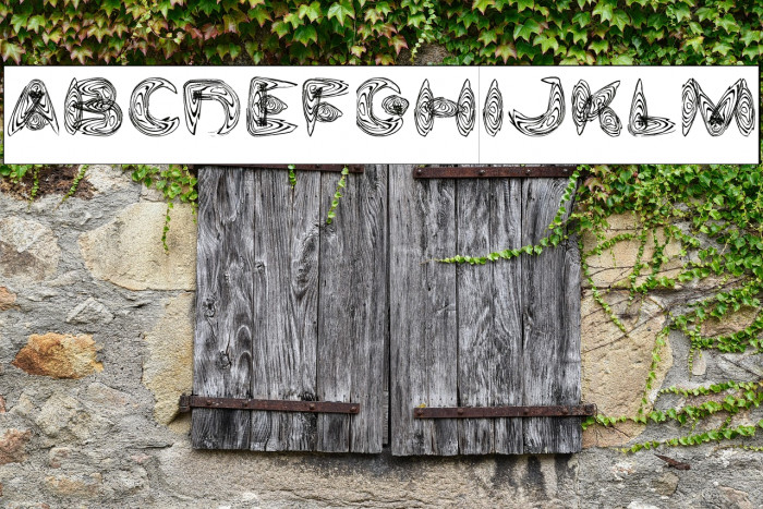 Water and Gasoline-Inverse Example 1