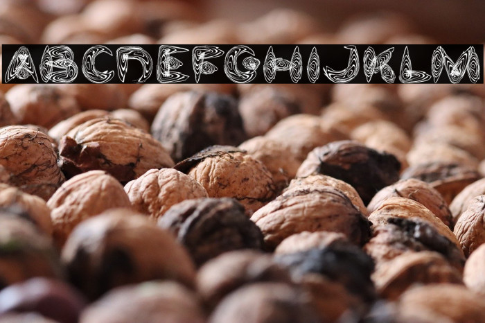 Water and Gasoline Example 2