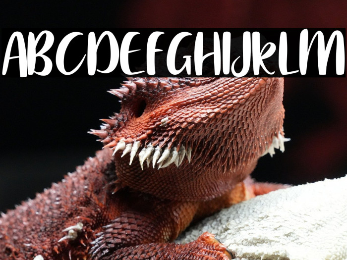 Water dolphin Example 2