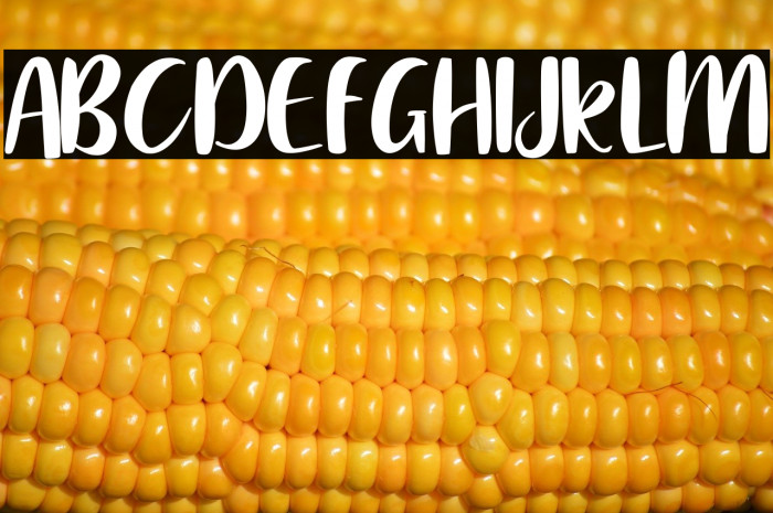 Water dolphin Example 3