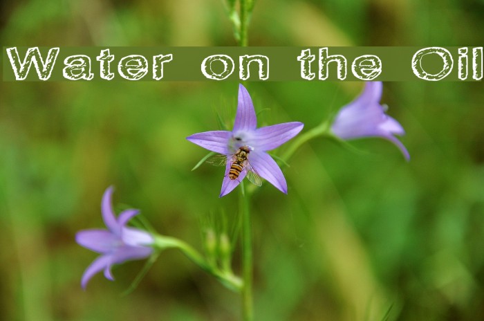 Water on the Oil Font examples