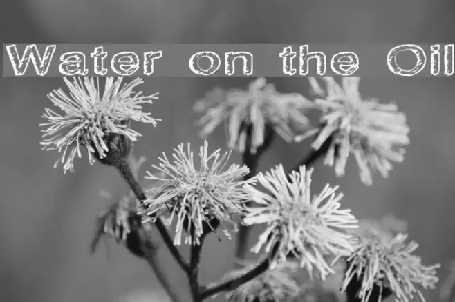 Water on the Oil Шрифта examples