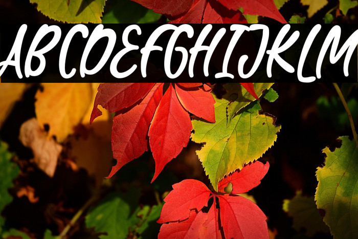 WaterBlaster Example 1