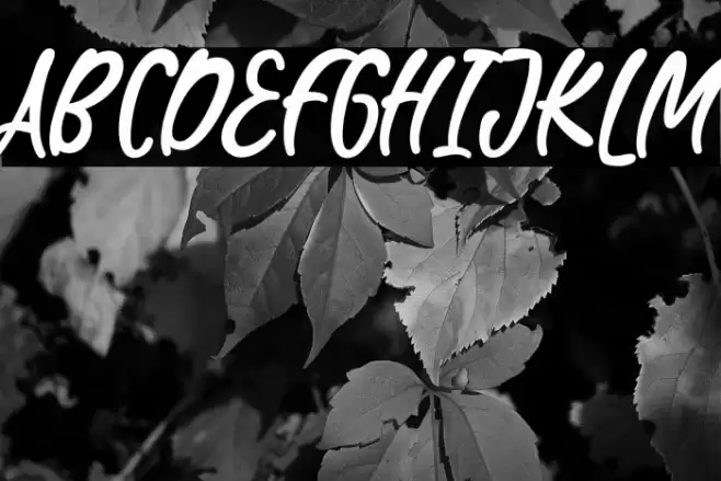 WaterBlaster Font examples