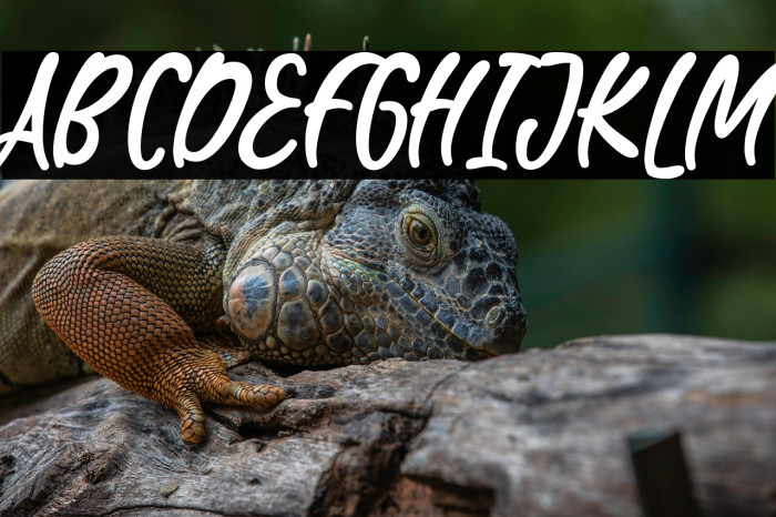 WaterBlaster Example 2