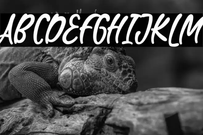 WaterBlaster Font examples