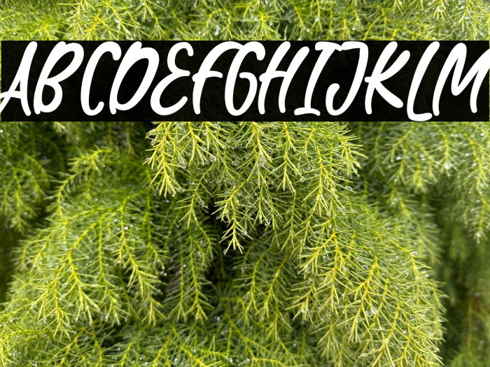 WaterBlaster Example 3