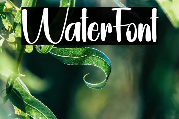Water Example 2