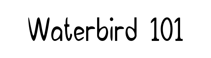 Waterbird 101 Font