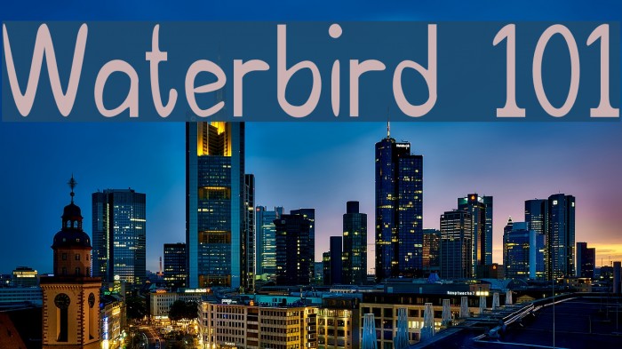 Waterbird 101 Font examples