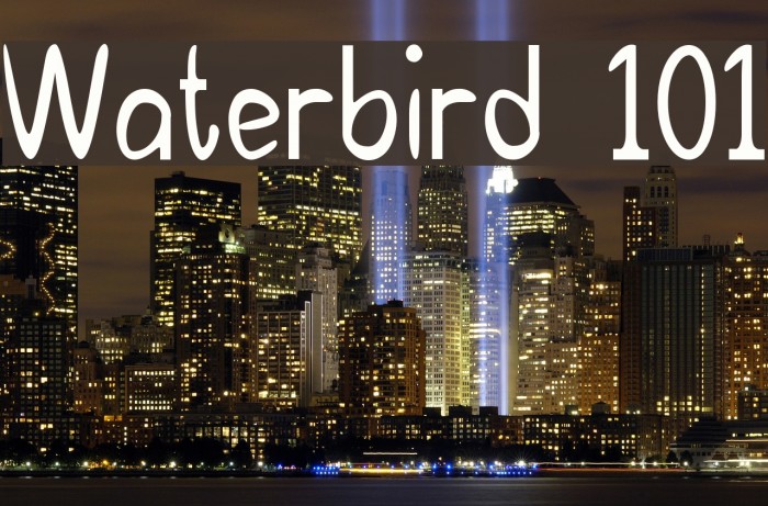 Waterbird 101 Font examples