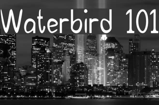 Waterbird 101 examples