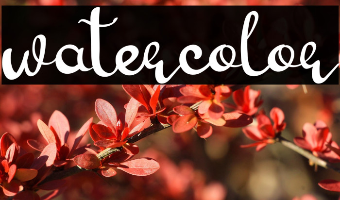 Watercolor Example 2