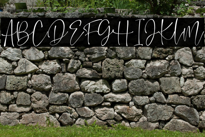 Watercoral Example 3