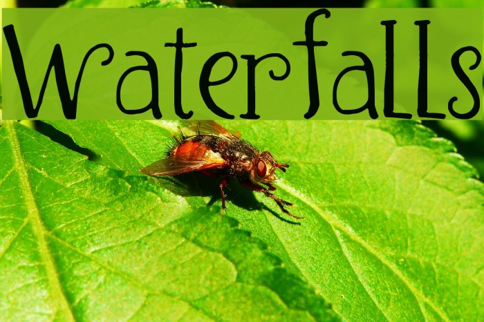 Waterfalls Font examples