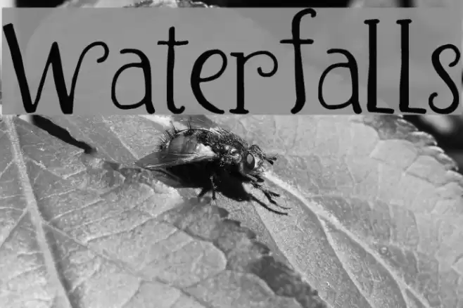 Waterfalls Font examples