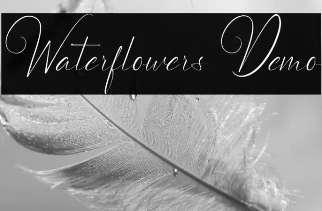 Waterflowers Demo Font examples