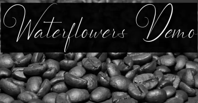 Waterflowers Demo Font examples