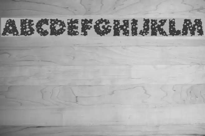 Waterhole Font examples