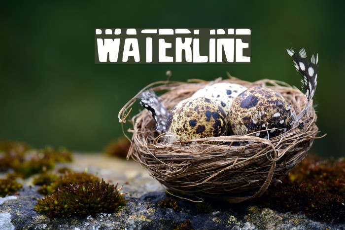 Waterline Font examples