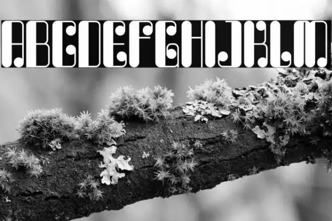 Waterlord Font examples