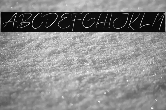 Waterman Barel Font examples