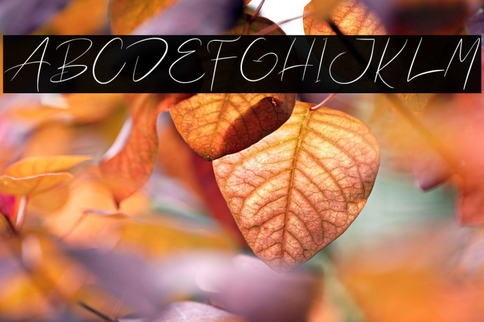 Waterman Barel Example 3