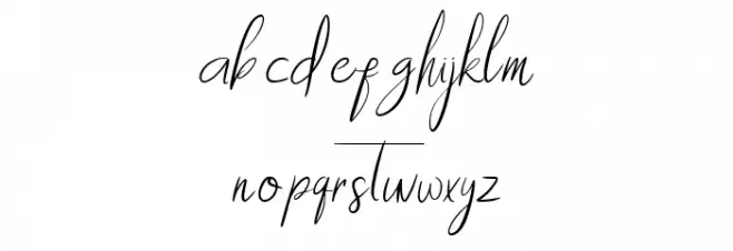Waterman Barel Font Litere mici