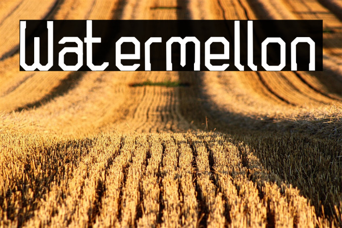 Watermellon Example 2