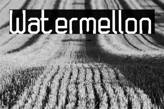 Watermellon Font examples