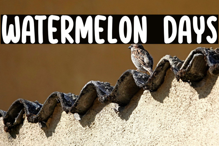 Watermelon Days Example 1