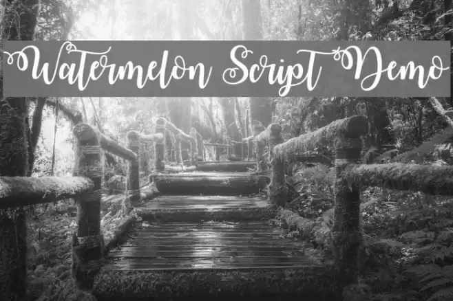 Watermelon Script Demo Font examples