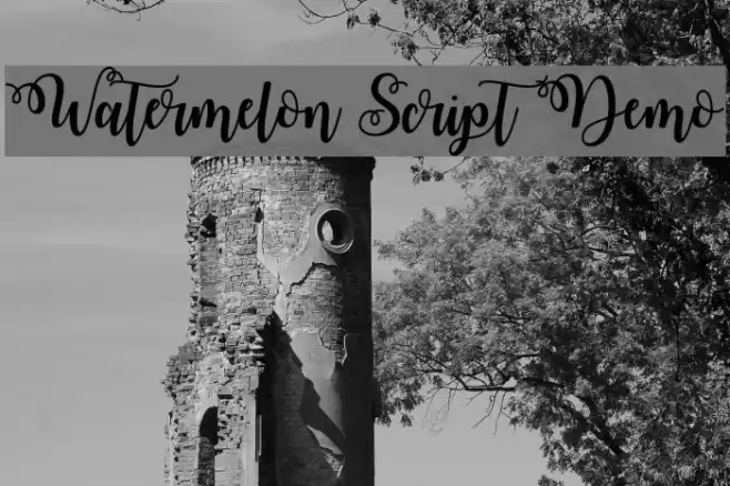 Watermelon Script Demo Font examples