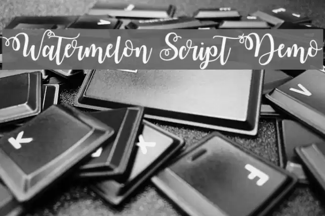 Watermelon Script Demo Font examples