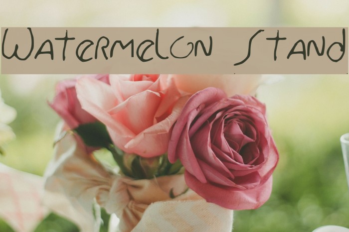 Watermelon Stand Font examples