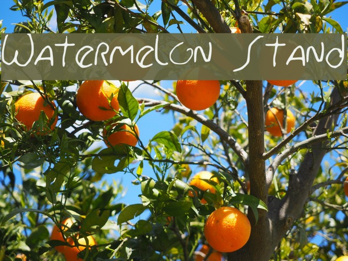 Watermelon Stand Font examples
