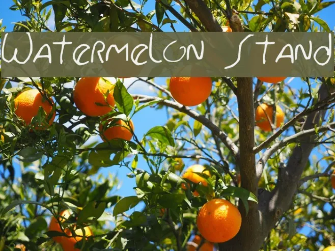 Watermelon Stand Example 3