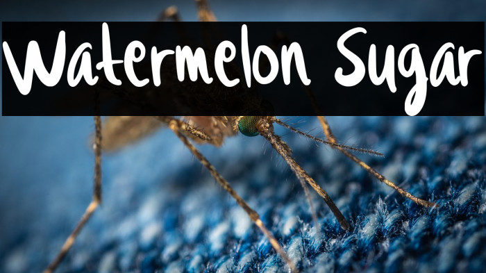 Watermelon Sugar Example 1