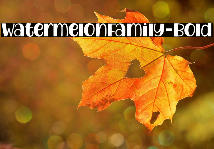 WatermelonFamily-Bold Example 2