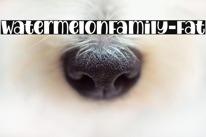 WatermelonFamily-Fat Example 2