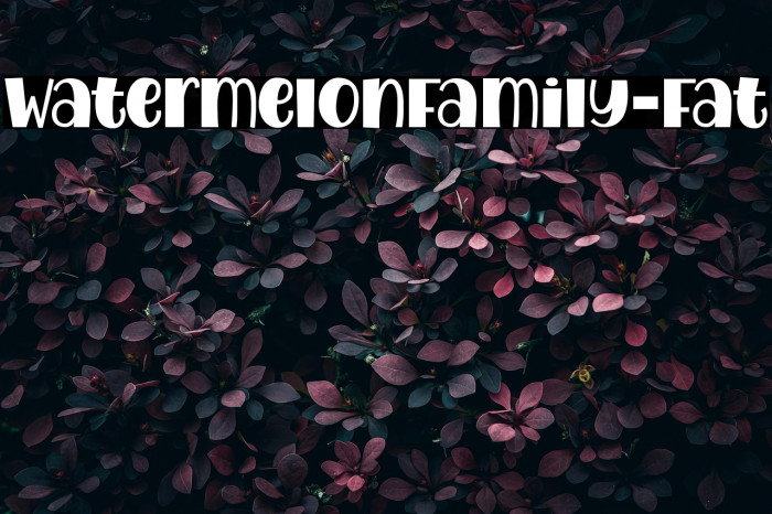 WatermelonFamily-Fat Example 3