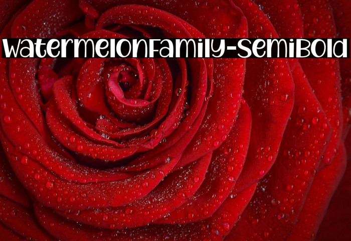 WatermelonFamily-SemiBold Example 1