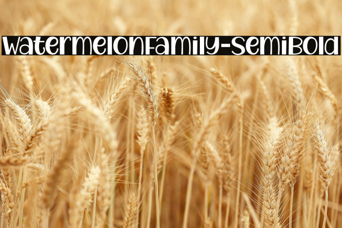 WatermelonFamily-SemiBold Example 2