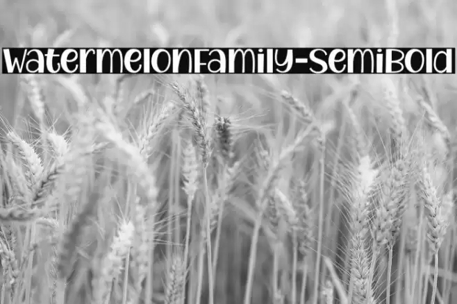 WatermelonFamily-SemiBold Font examples