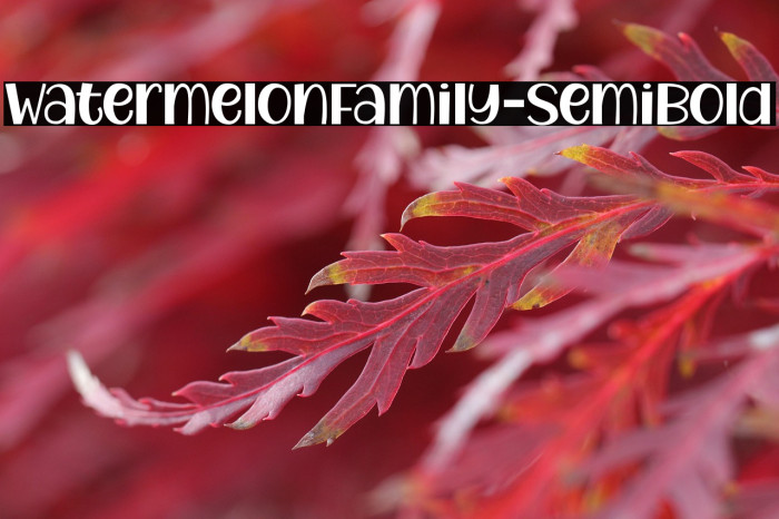 WatermelonFamily-SemiBold Example 3