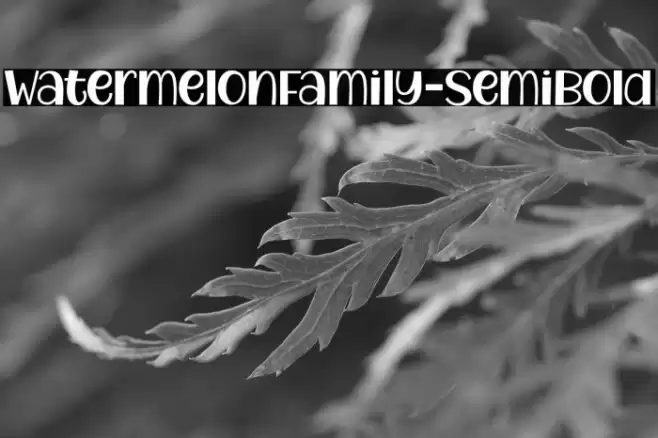 WatermelonFamily-SemiBold Font examples
