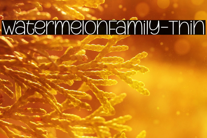 WatermelonFamily-Thin Example 2