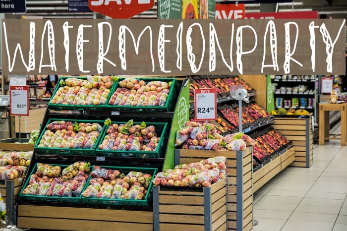 WatermelonParty Font examples