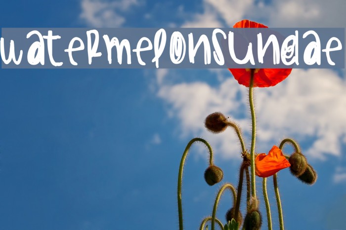 WatermelonSundae Example 3